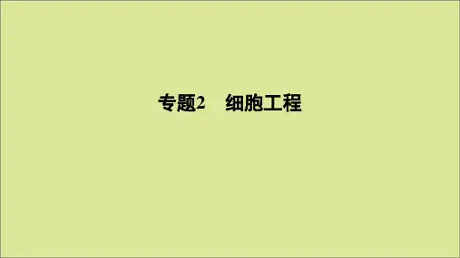 2020年高中生物专题2细胞工程2.1.1植物细胞工程的基本技术课件新人教版选修3