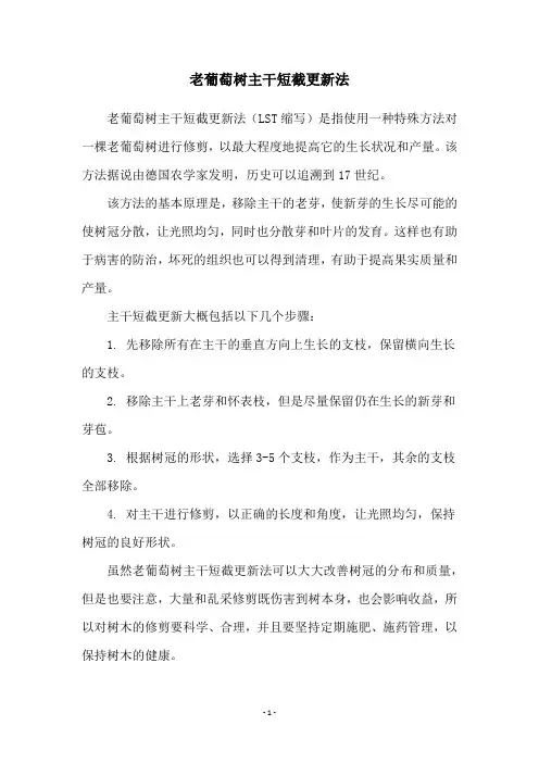 老葡萄树主干短截更新法