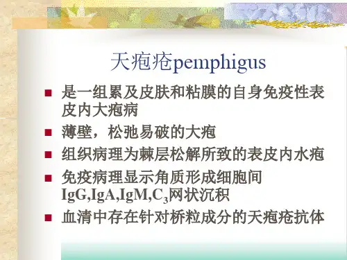 水疱大疱性皮肤病PPT培训课件
