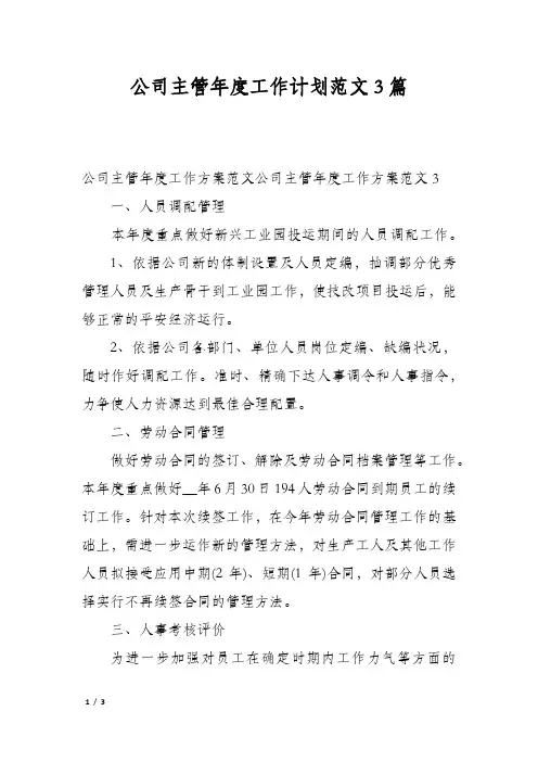 公司主管年度工作计划范文3篇