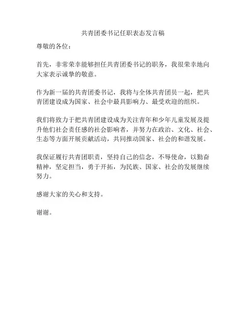 共青团委书记任职表态发言稿