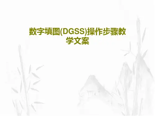 数字填图(DGSS)操作步骤教学文案PPT共73页