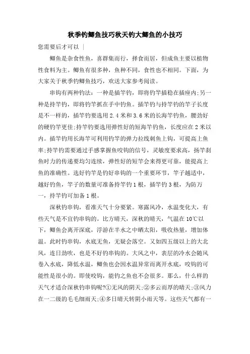秋季钓鲫鱼技巧秋天钓大鲫鱼的小技巧