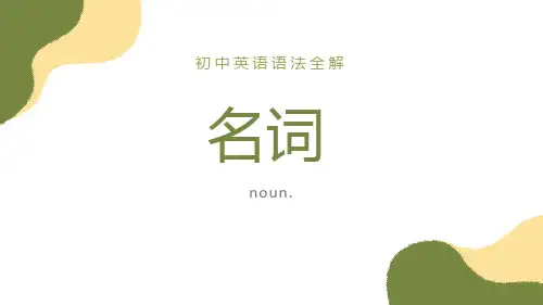 中考英语语法—名词课件