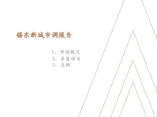 锡东高铁站周边市场调研报告-2020.01
