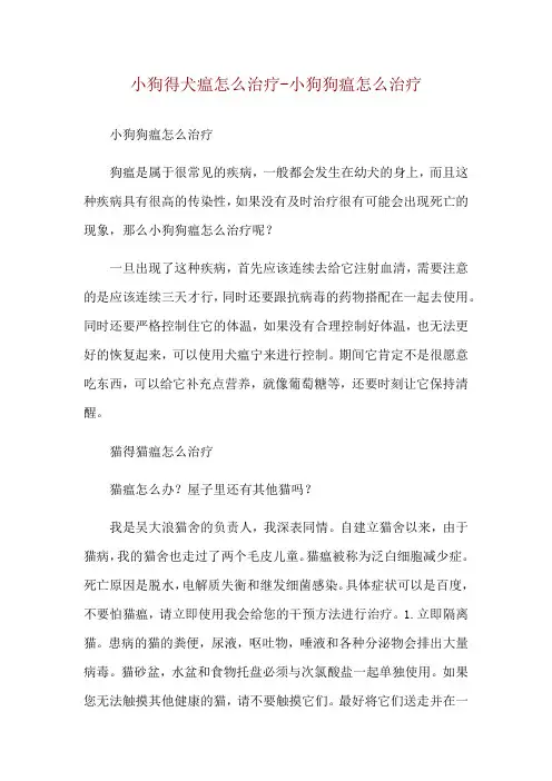 小狗得犬瘟怎么治疗-小狗狗瘟怎么治疗