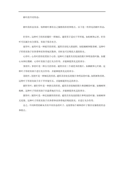 树叶的不同形态