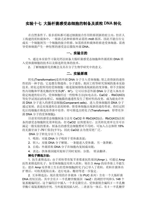 大肠杆菌感受态细胞的制备及质粒DNA转化