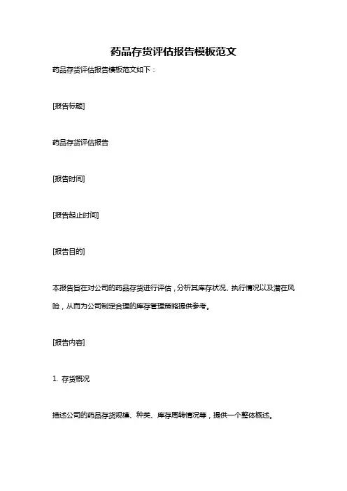 药品存货评估报告模板范文