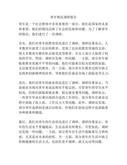 青年情况调研报告