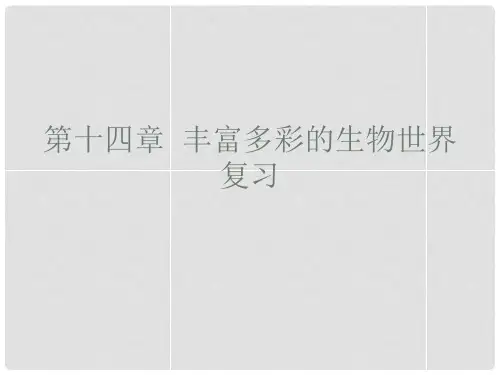 八年级生物上册 第十四章 丰富多彩的生物世界复习课件 苏教版