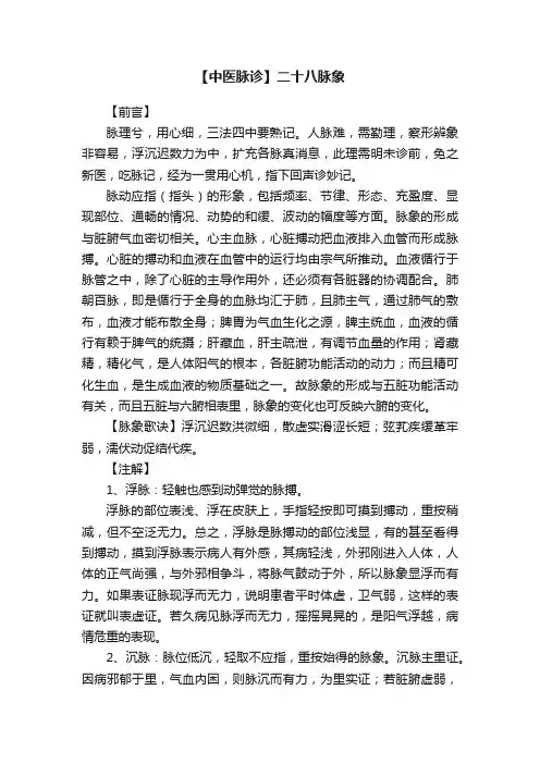 【中医脉诊】二十八脉象