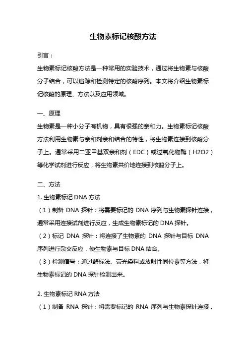生物素标记核酸方法