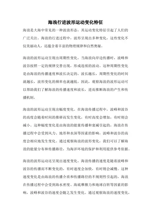 海浪行进波形运动变化特征