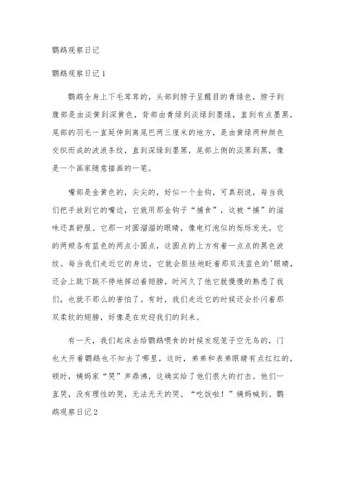 鹦鹉观察日记