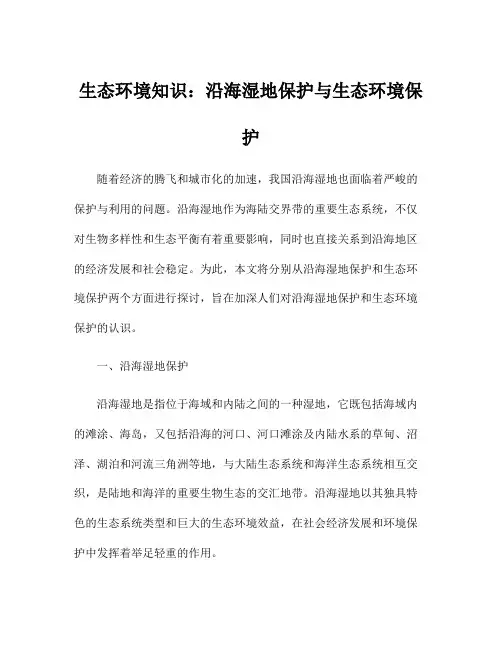 生态环境知识：沿海湿地保护与生态环境保护