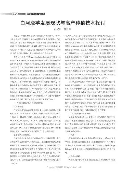 白河魔芋发展现状与高产种植技术探讨