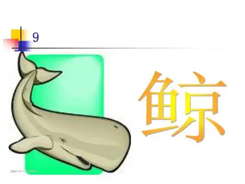 《鲸》公开
