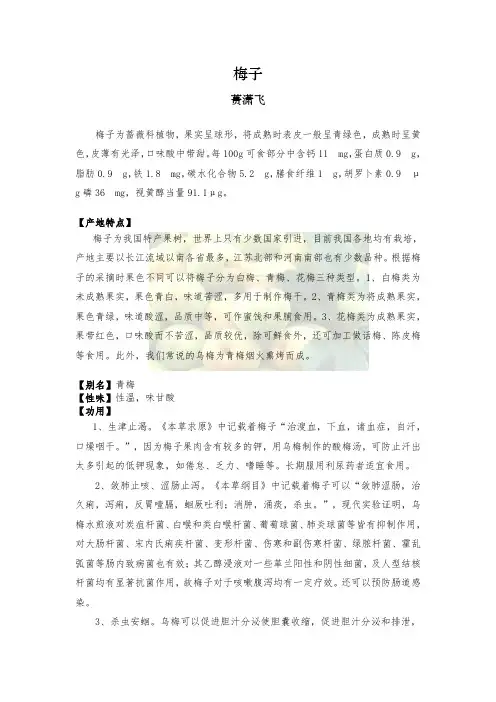 梅子