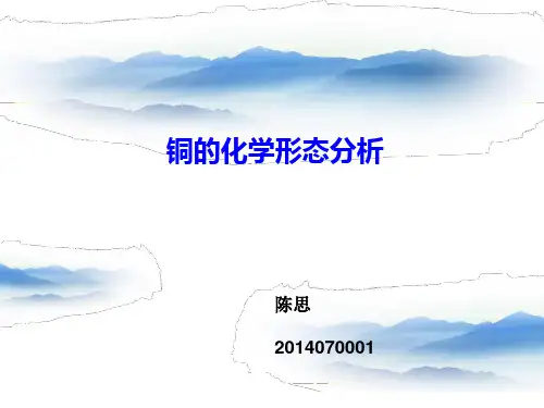 铜的形态分析ppt