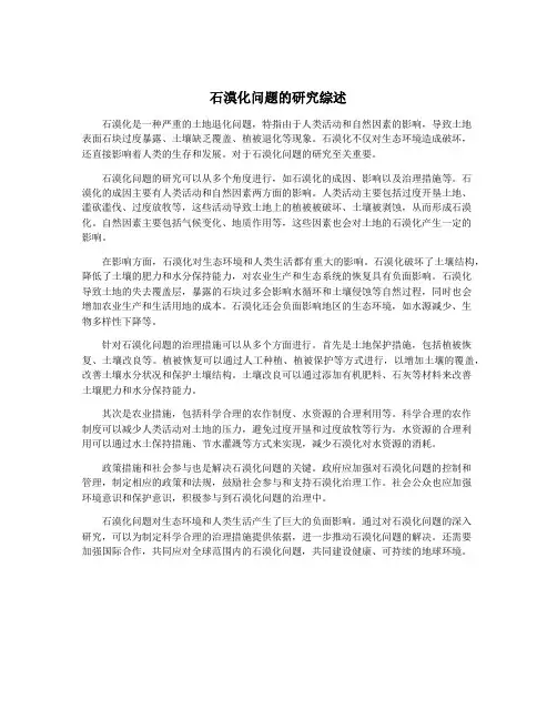 石漠化问题的研究综述