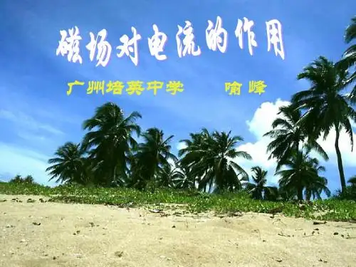高二物理安培力