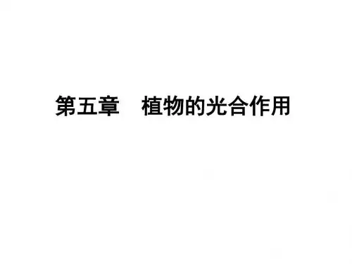 第五章--植物的光合作用