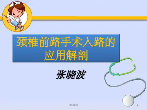 颈椎前路手术入路的应用解剖