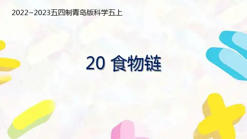 五四制青岛版2022-2023五年级科学上册第六单元第20课《食物链》课件(定稿)