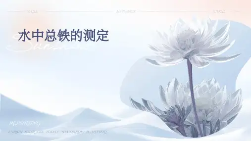 水中总铁的测定