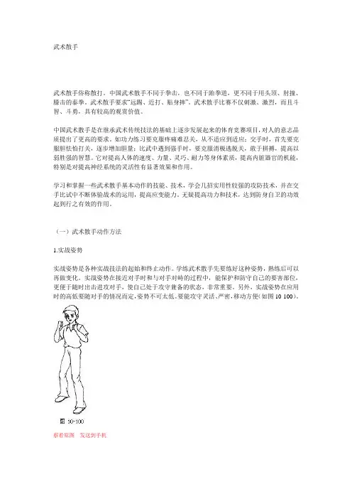 武术散手