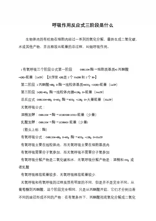 呼吸作用反应式三阶段是什么