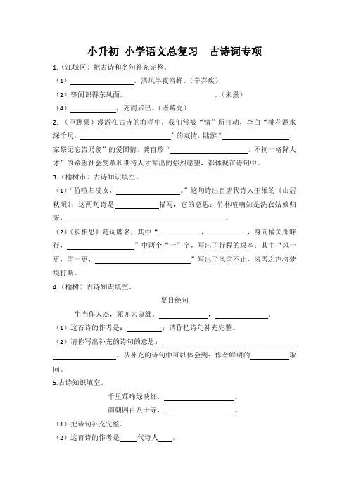 小学语文总复习  古诗词  名校专项