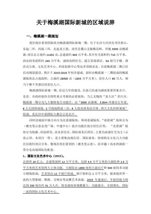 (长沙)梅溪湖全流程说辞