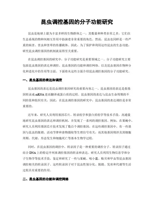 昆虫调控基因的分子功能研究