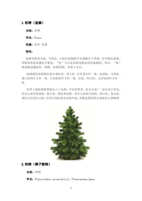 校园植物名录