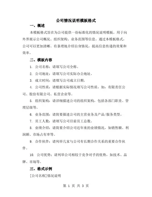 公司情况说明模板格式