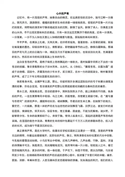 初中语文经典阅读题及答案
