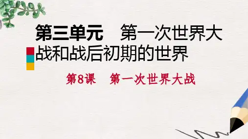九年级历史下册第三单元第一次世界大战和战后初期的世界第8课第一次世界大战课件新人教版
