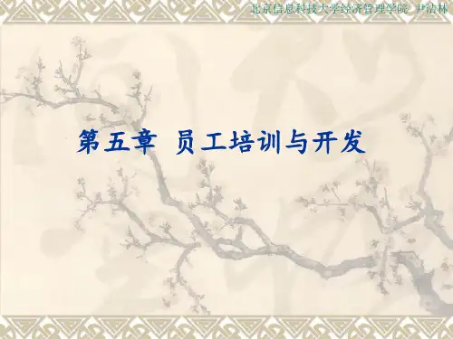 人力资源课件第五章 员工培训与开发