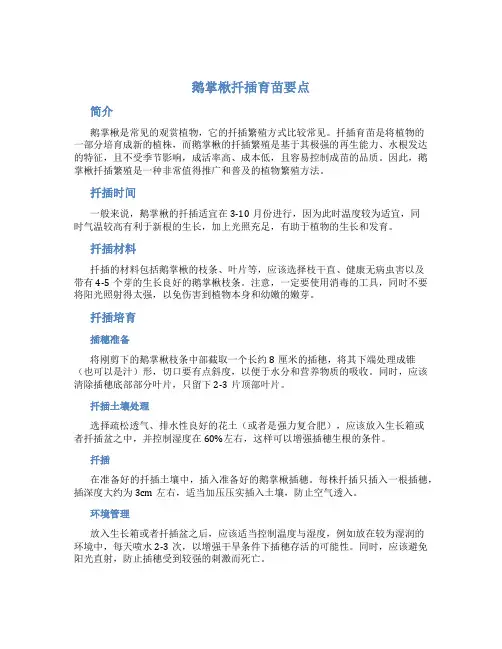 鹅掌楸扦插育苗要点