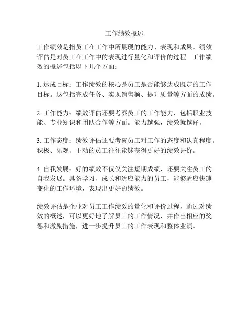 工作绩效概述