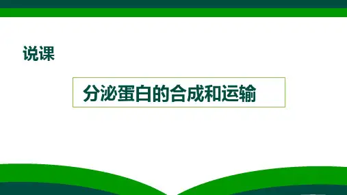 高一上学期生物人教版必修1《分泌蛋白的合成和运输》说课课件