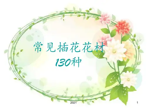 常见插花花材130种PPT课件