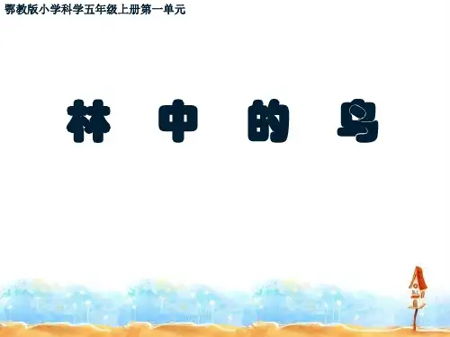 五年级上册科学课件-1.5 林中的鸟｜鄂教版(共20张PPT)