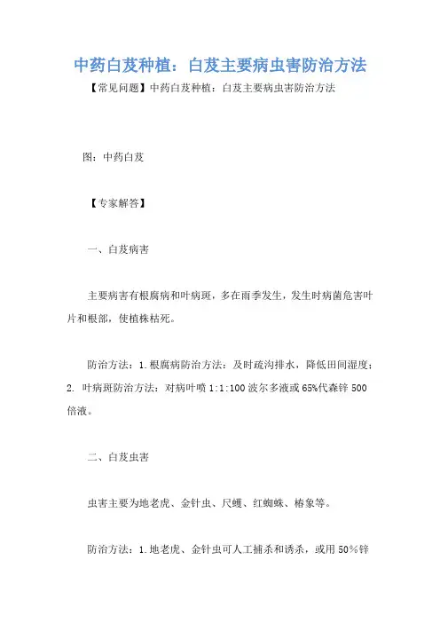 中药白芨种植：白芨主要病虫害防治方法