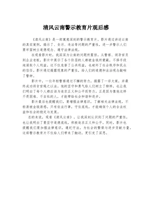 清风云南警示教育片观后感