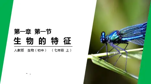 《生物的特征》PPT课件