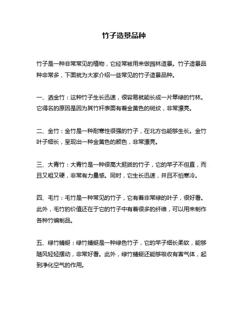 竹子造景品种