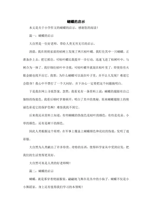蝴蝶的启示_小学作文_1